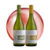 RƯỢU VANG CHILE CONO SUR BICICLETA CHARDONNAY 2022 - Hình ảnh 3