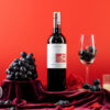 RƯỢU VANG CHILE CONO SUR BICICLETA CABERNET SAUVIGNON 2021 - Hình ảnh 3