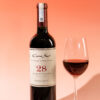RƯỢU VANG CHILE CONO SUR SINGLE VINEYARD 28 CAMENERE 2021 - Hình ảnh 4