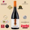 RƯỢU VANG Ý ANTONINI MONTEPULCIANO D'ABRUZZO D.O.C 2021 - Hình ảnh 2